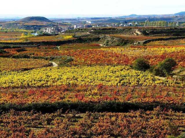 La Rioja